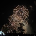IMG_1196 (1)