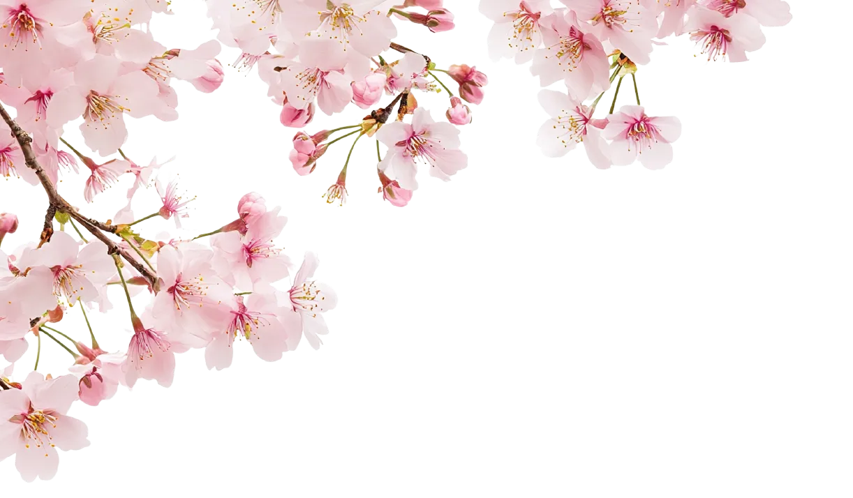 薬はさくら薬局
