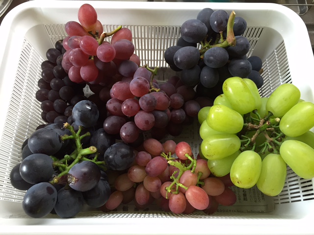ぶどう①