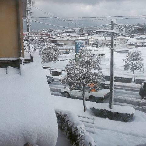 雪②